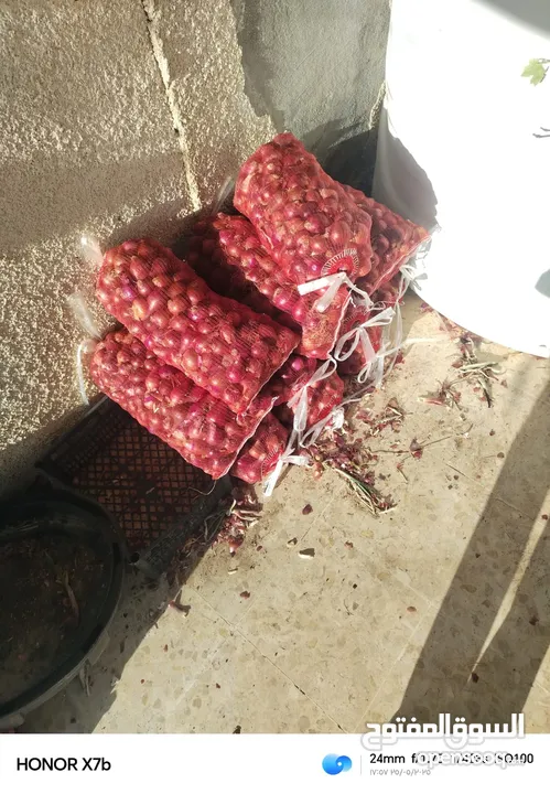 بصل  مواني احمر حبة وسط ممتاز بجودة عالية