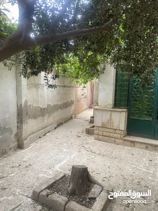 شقه طابق اول لإيجار