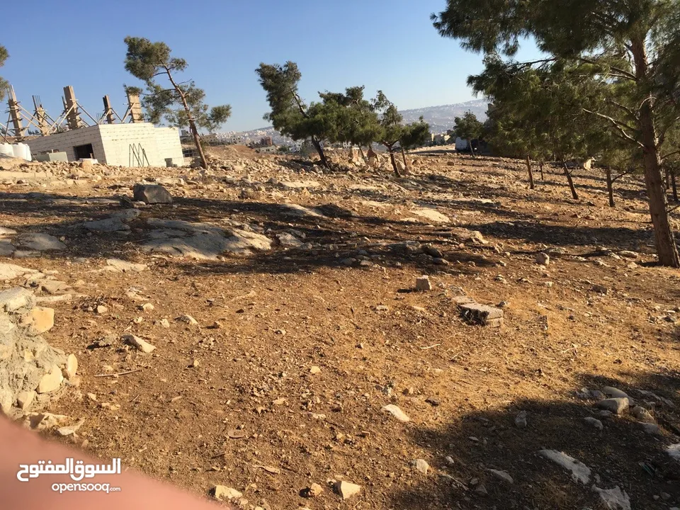 ارض للبيع  عمان شارع الاردن تقاطع شارع الاردن مع شارع عمان-جرش  الرئيسي ملاصقه لغابات وصفي التل