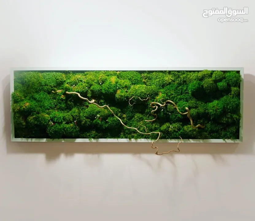 Moss walls for houses and office + Gallery 1 art work