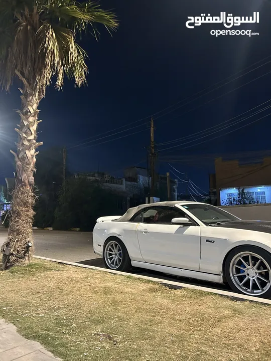 موستنك 2010   V6