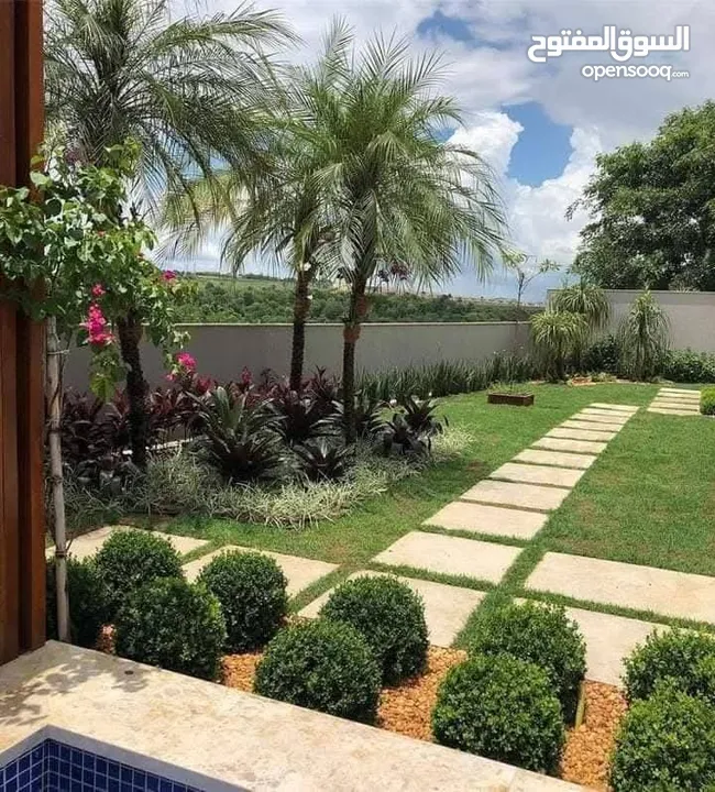 نجيل طبيعي ونجيل ديكوندرا