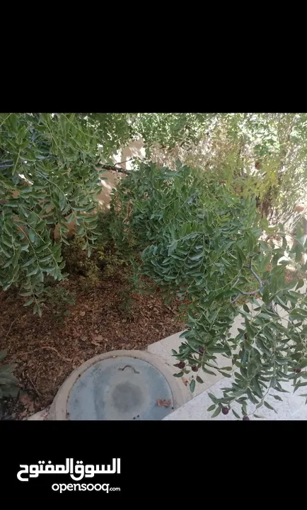 بيت مستقل طابقين / أجمل اطلالة على جبال عجلون في لواء كفرنجه ( اقرأ الوصف بالإعلان)...