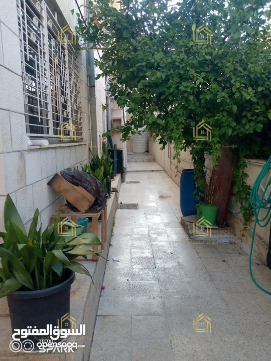 شقة فارغة أو مفروش أرضي مع ترس ومدخل مستقل