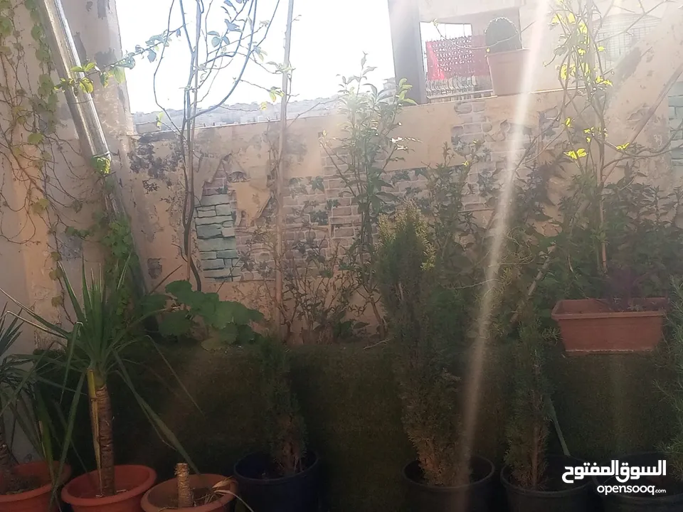 شقة للبيع في  المدينة الرياضية