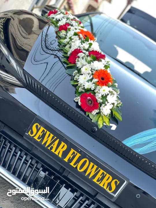 سيارات للاجار
