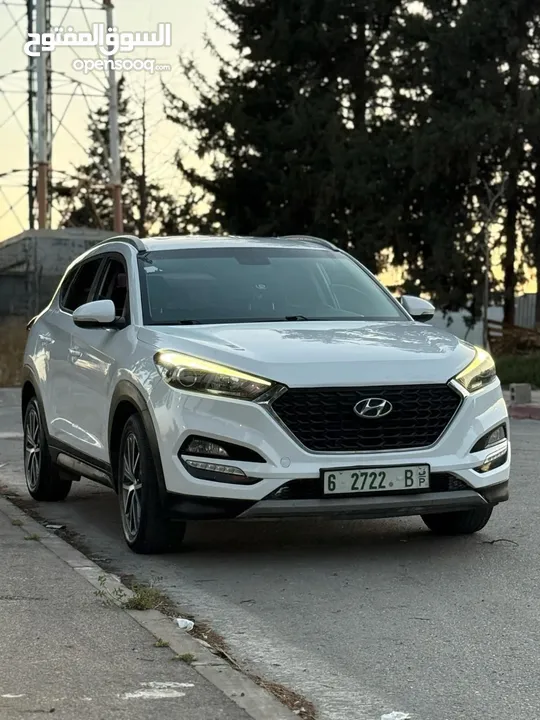 امين محمد جبر