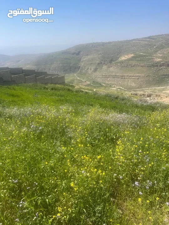 3.400 ماحص بعد الميده