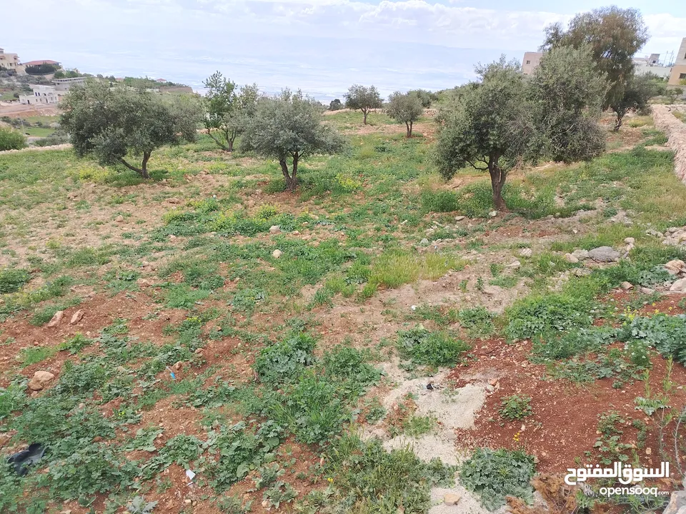 2300 م السلط المغاريب قطعة ملوكية تصلح ل فيلا او مزرعة اطلالة ع الغرب و جبال فلسطين