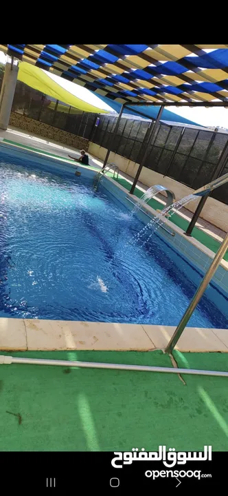 مزرعة زهرة اللوتس