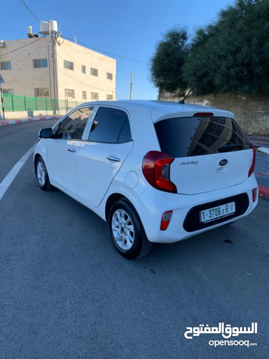 كيا بيكانتو كرتونه