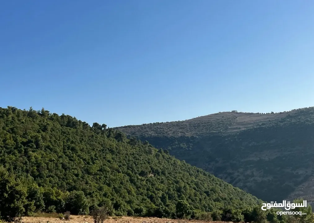 شالية ب نظام كوخ ب اجمل غابات عجلون