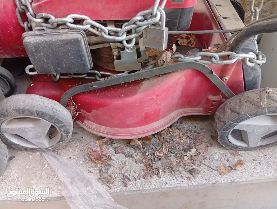 جزارة عشب بنزين