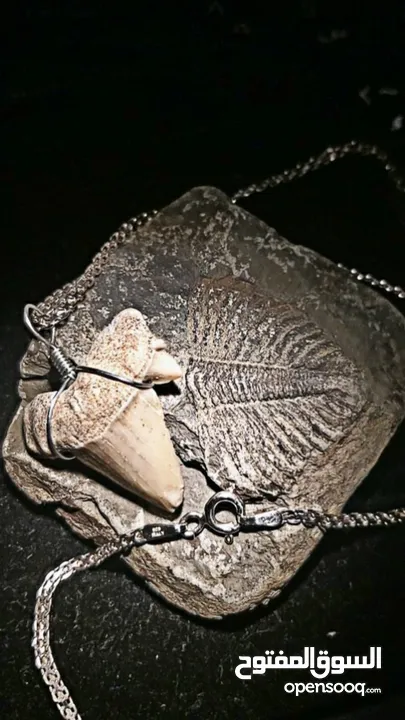 Italian silver necklace with wire wrapped ancient shark tooth fossil + free leather rope