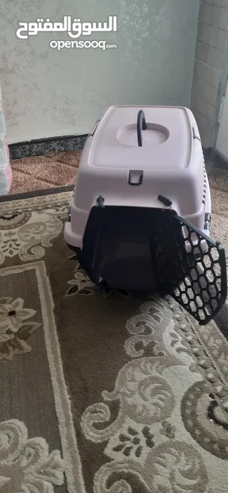 بيت قطط $$