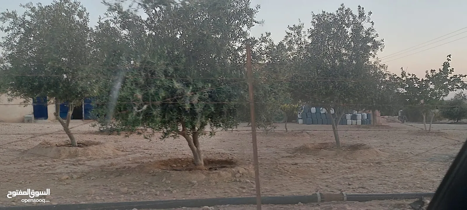 أرض للبيع في جنوب عمان خان الزبيب