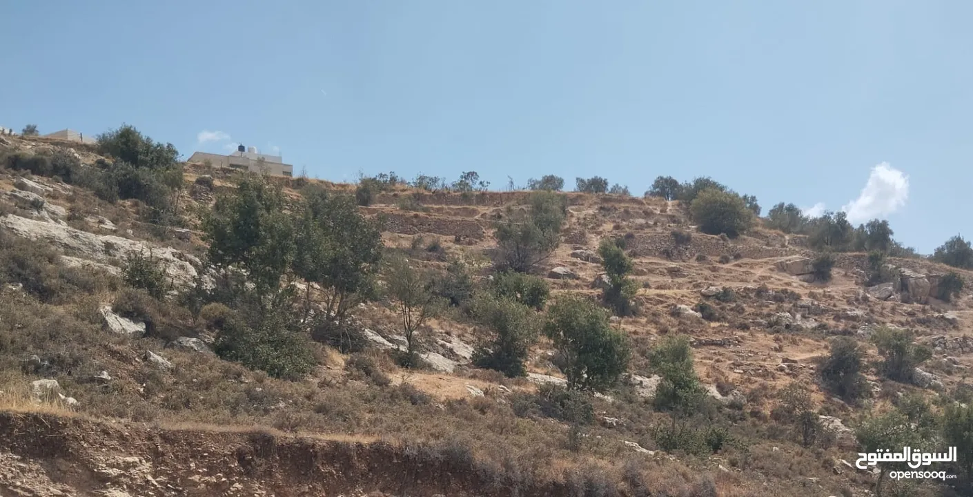ارض مطلة ع راس جبل .بعد عقبة تفوح
