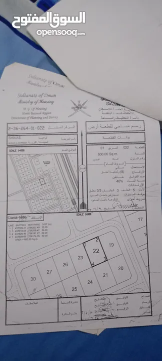 مرير المطاريش علي الشارع البحري