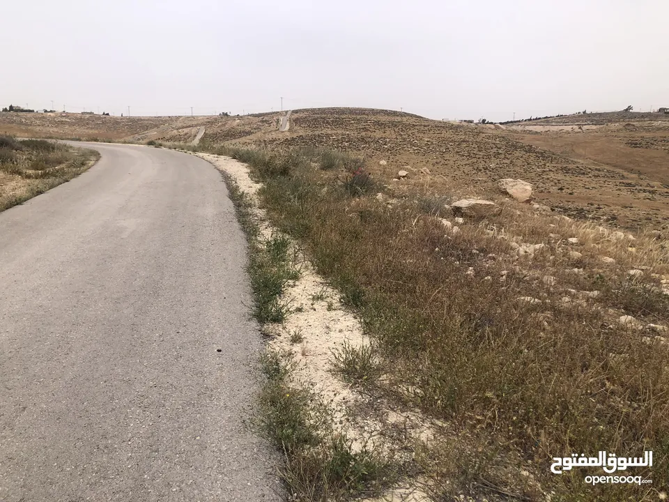 أرض للبيع اراضي شمال عمان شفا بدران زينات الربوع حوض الشكاره مساحة الارض 500 م سند تسجيل مستقل