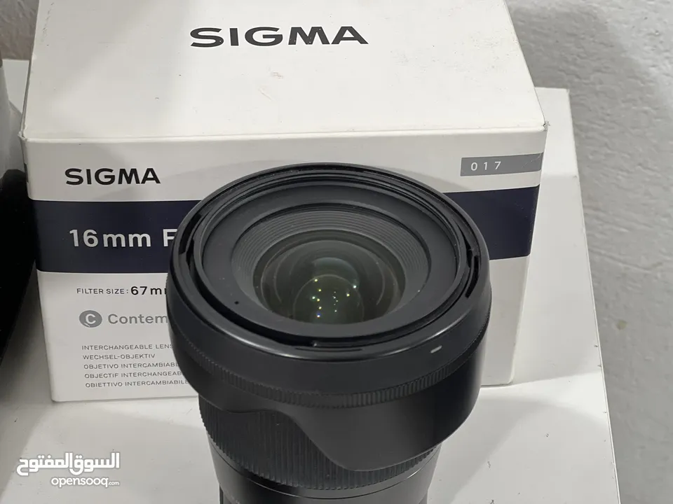 16 mm Sigma lense for Sony E mount for sale