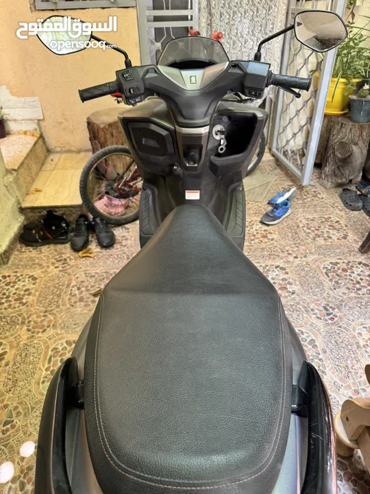 سوزوكي بيرجمان للبيع