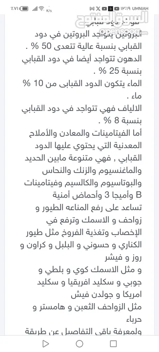 يرقات دود القبابي حي ميلوورم mealworm غذاء ممتاز بروتين حيواني لا يسبب التشحيم للطيور والاسمام