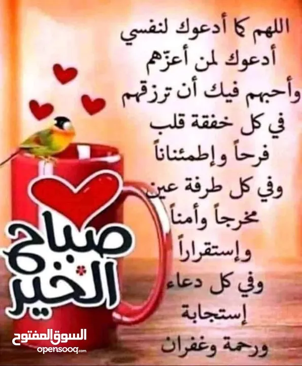 شقه صغيره للاجار بسعر قليل