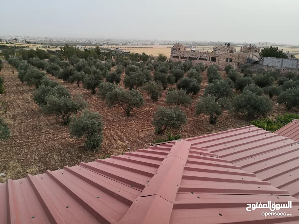 مزرعة في حوارة بجانب سرايا الشرع مساحتها 10 دونم على شارعين