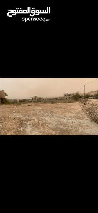 ارض للبيع في مدينة اريحا