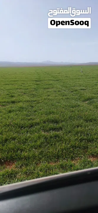 نِيغده – بور (Niğde – Bor) من أجمل وأخصب المناطق الزراعية في تركيا للبيع 10 ألف دونم ارض زراعية