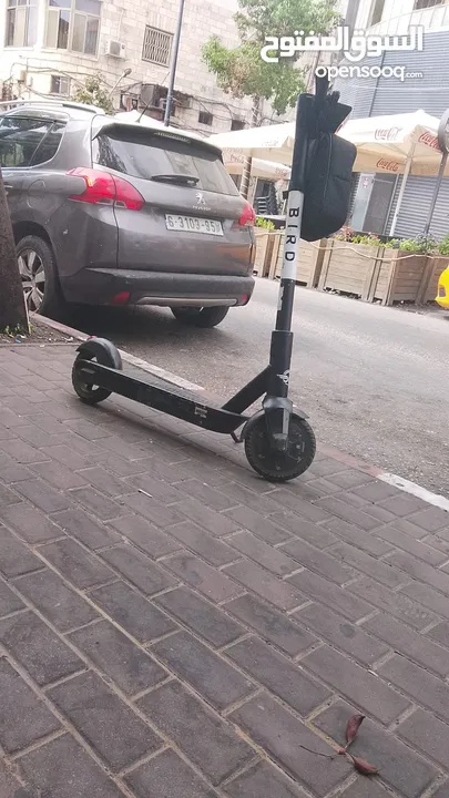 سكوتر كهرباء من شركه BIRD مستعمل بحاله جيده جداا وسريع وحالته ممتازه و مع ليز اخضر هديه