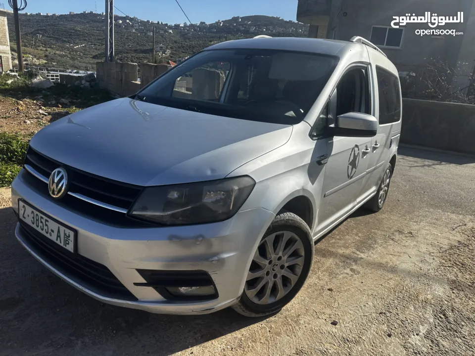 كادي برايفت 2017