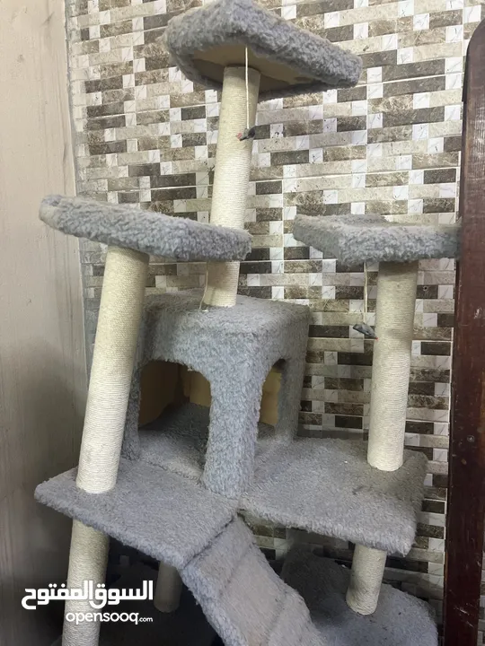 بيت مستعمل للقطط