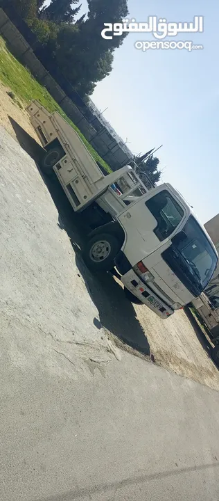ديانا سطحه