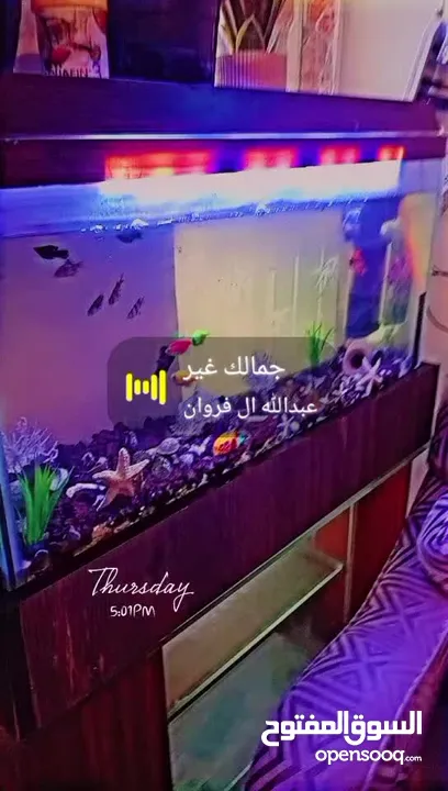 حوض سمك 70 حجم