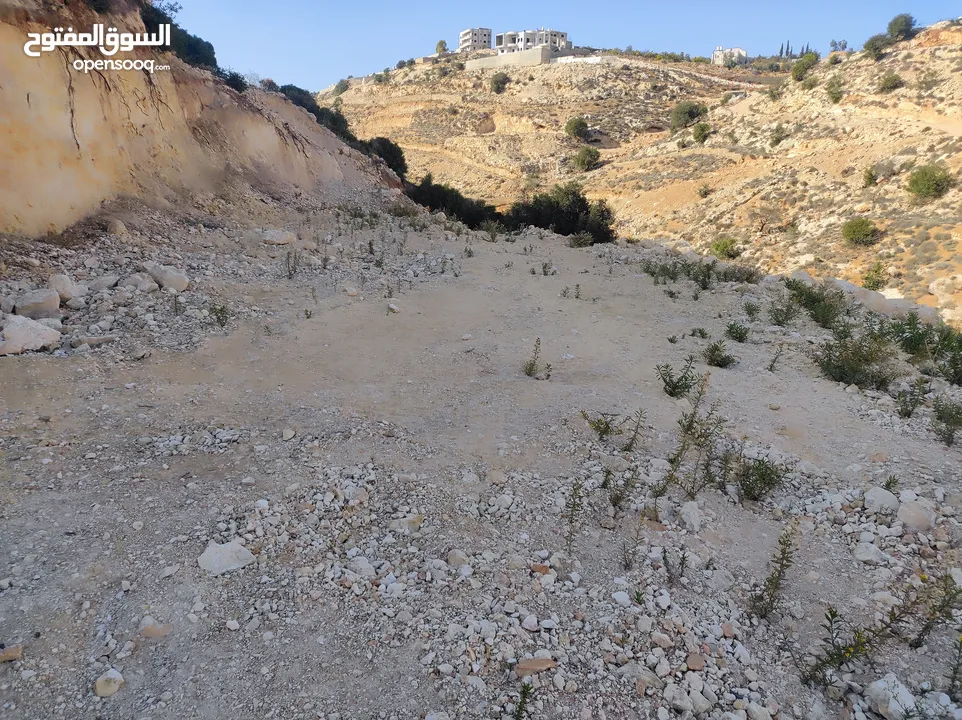 ارض للبيع 1000 متر طابو ابو نجيم