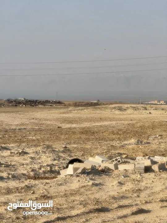 ارض 2 دونم خلف منتجع البحيرة البحر الميت على شارعين مميزة جدا منطقة العظيمي بسعر 70000