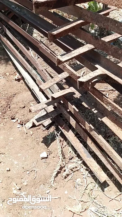 زوايا V للعنب