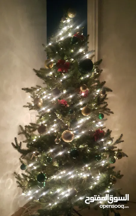 شجرة عيد الميلاد Christmas