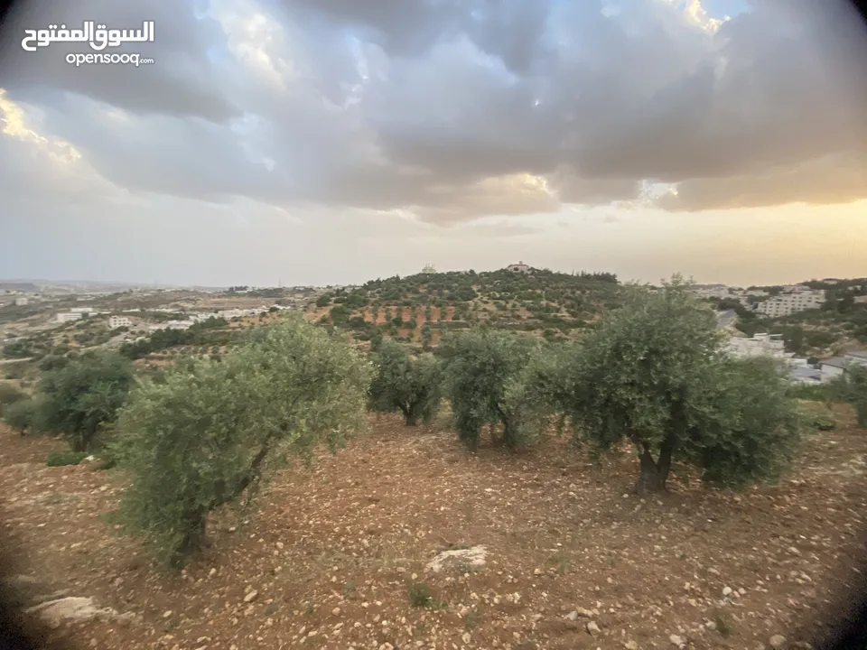 للبيع: أرض بإطلالة خلابة وموقع هادئ في دابوق من المالك مباشرة فيها منسوب