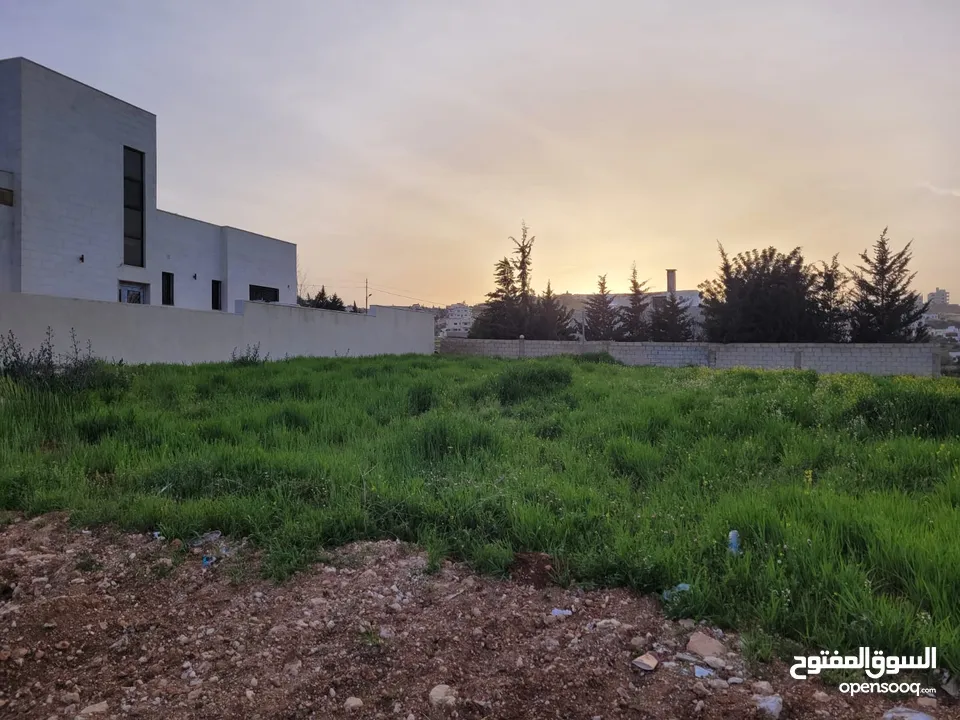 أرض مميزه جدا للبيع بشفا بدران بسعر ممتااااز