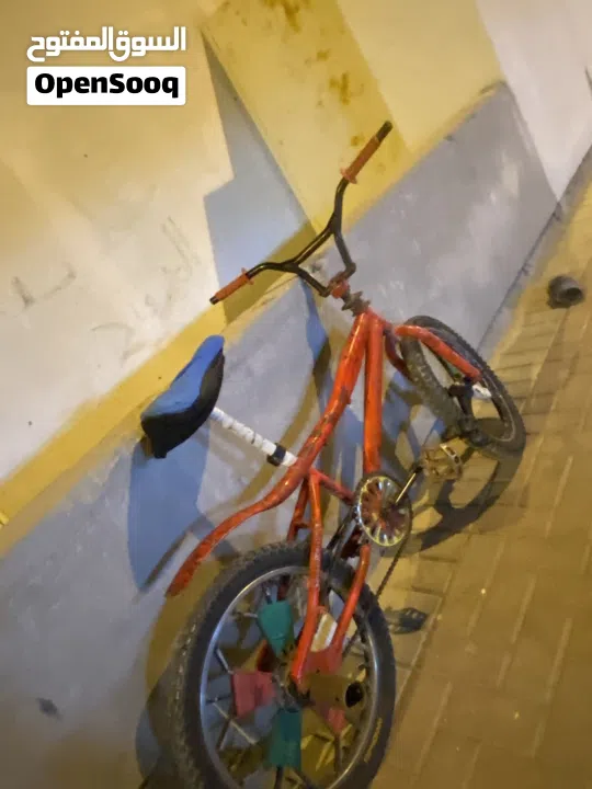 كوبرا حالته ممتاز جدا