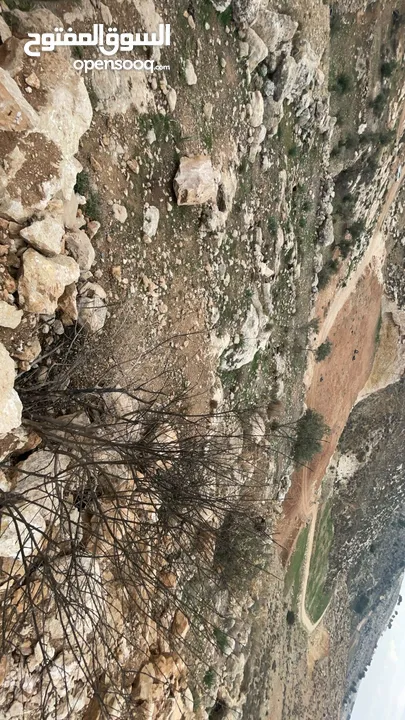 ارض بسعر مغري