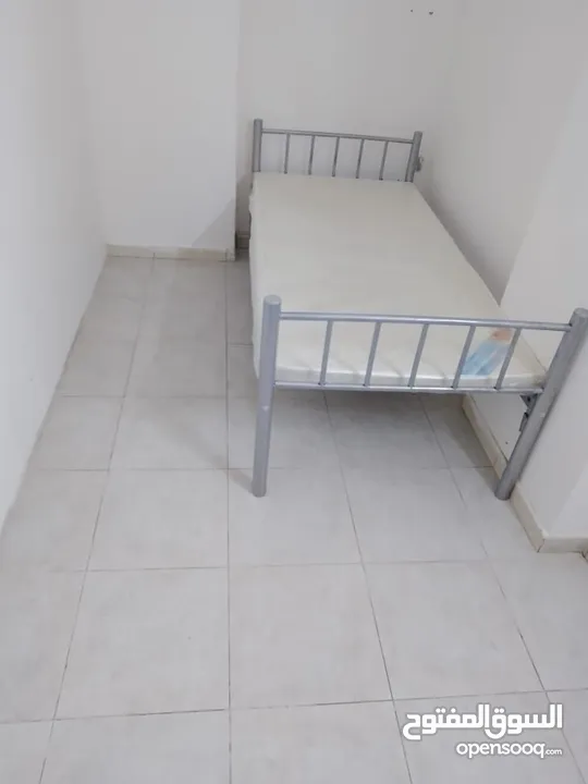 Male and Female for Closed Partition, room available near Alain Mall