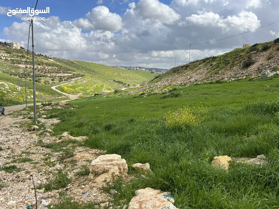 الفزره 525 م سكن ج