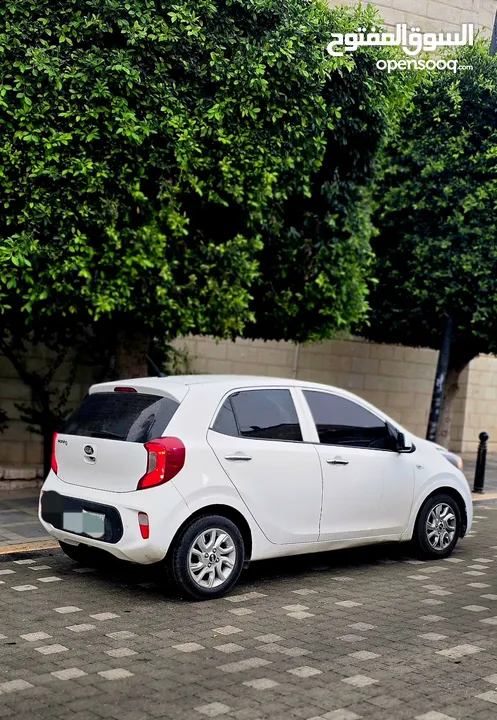 بيكانتو مورنينج 2021