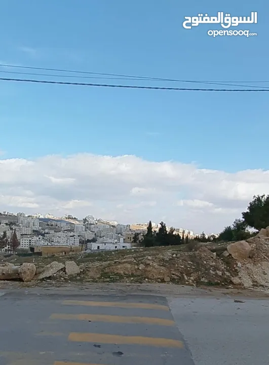 قطعة أرض للبيع في شفا بدران من المالك مباشرة تصلح للاسكانات