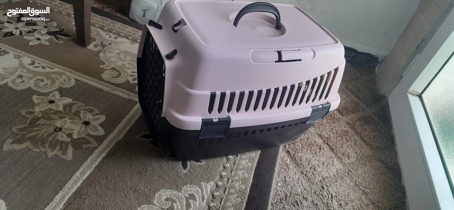 بيت قطط $$