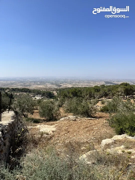 قطعة ارض للبيع مميزه ومطلة المساحة 4,609