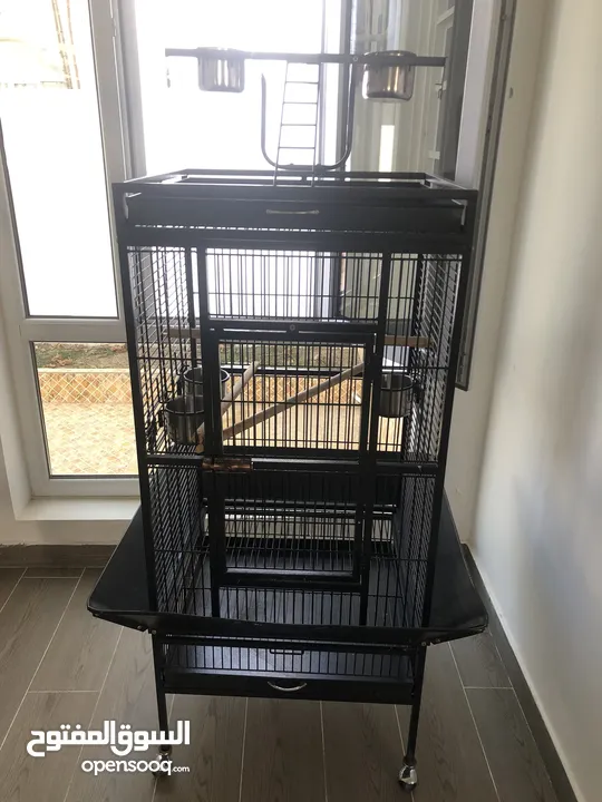 Parrot cage